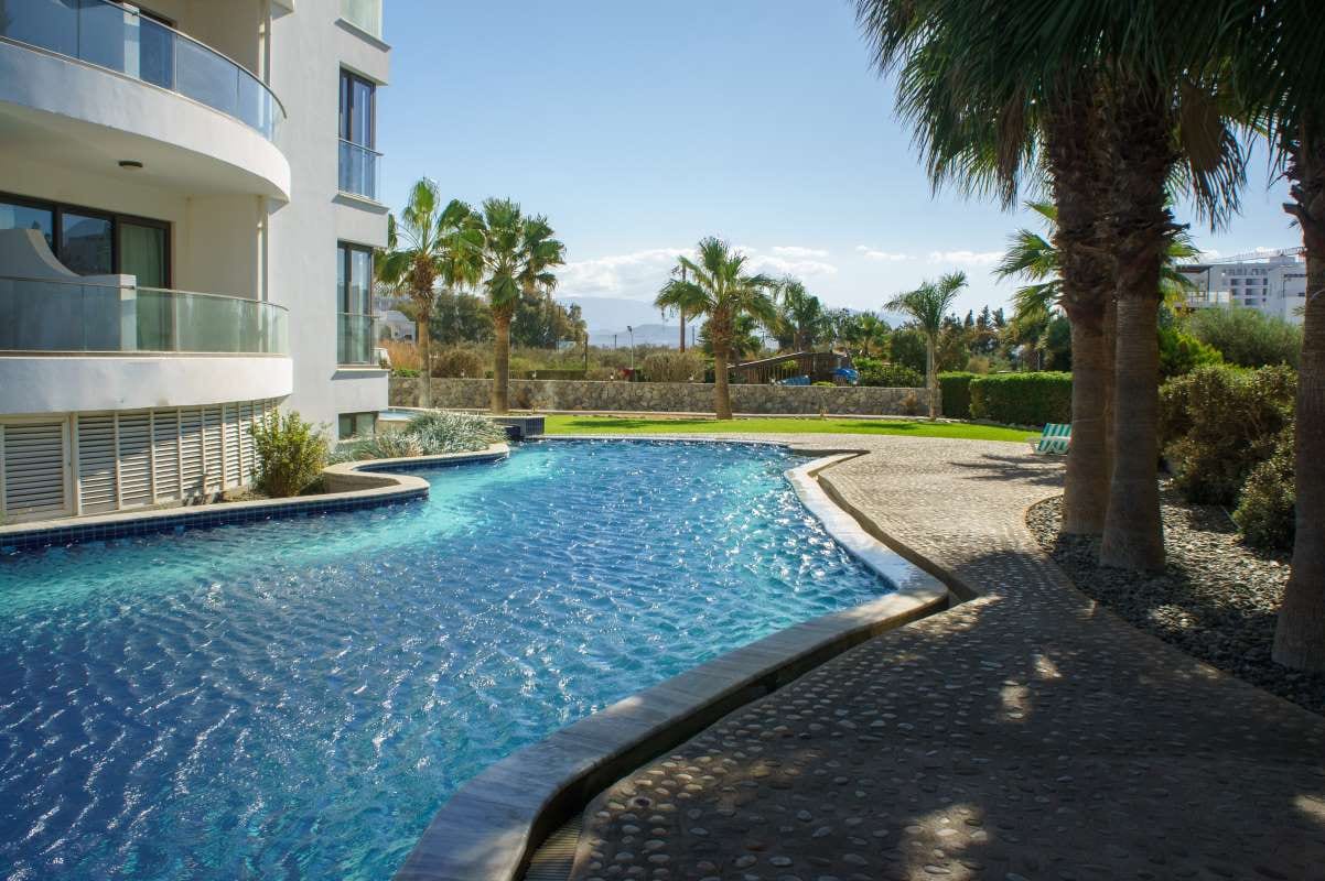 Tranquil resort-style pool surrounded by palm trees on a sunny day